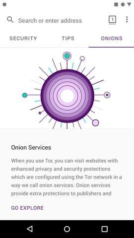 Tor浏览器截图2