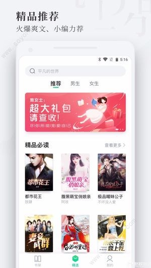 枕阅小说截图3