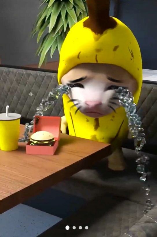 香蕉猫大作战免费版截图3