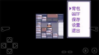口袋妖怪永恒纪元自带金手指截图1