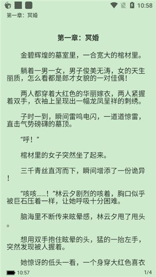 掌民小说截图3