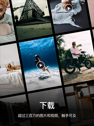Pexels素材网站截图3