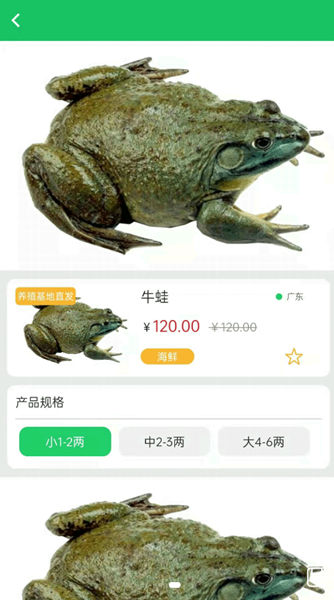 晓能批发截图2