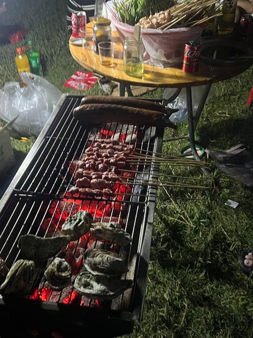 沙滩烤肉小游戏,打造夏日烧烤新体验