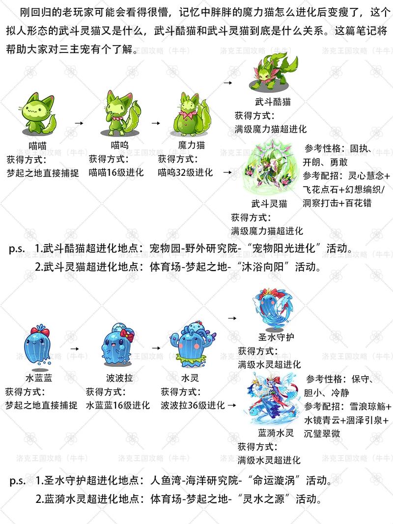 洛克王国萌之王者怎么打？揭秘游戏攻略秘籍