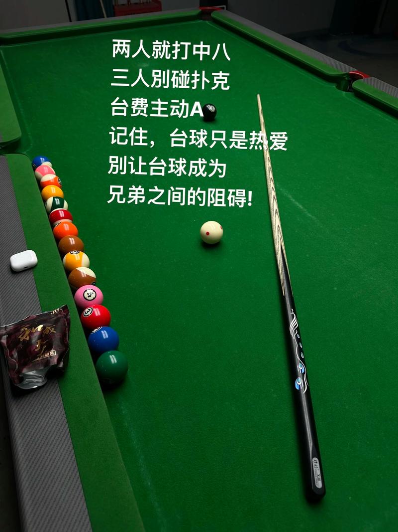双人桌球的魅力与益处,一项健康、有趣的运动选择