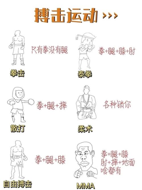 小小格斗6,经典动作与现代技巧的完美融合