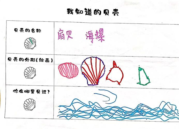 如何玩转贝壳游戏?解锁更多游戏乐趣!