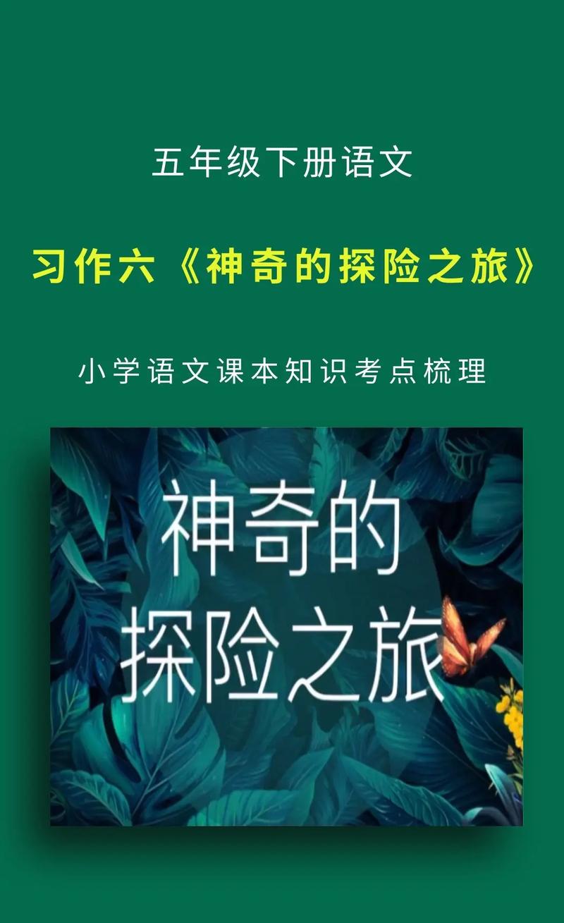 五游精选，探索未知世界的奇妙之旅