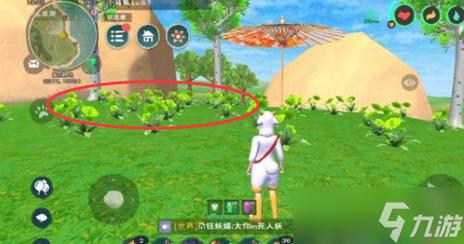 花园里的绿色魔法,植物OL的魅力与生活妙用