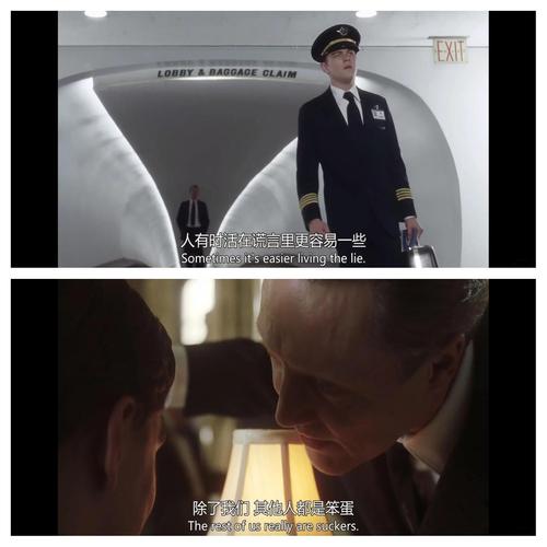 猫鼠大战，一场关于生存与智慧的较量